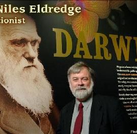 Punta Alta, Darwin y la evolución.