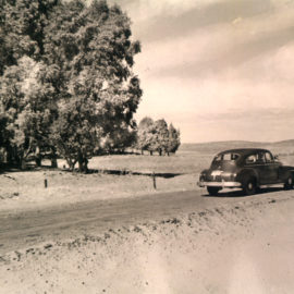 Historia de la Avenida Trolón de Pehuen Co. Historia de la Avenida Trolón de Pehuen Co.